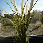 Apartment Haus Am Fluss *
