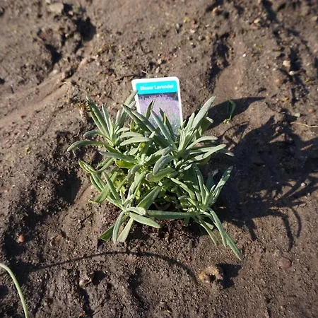 Apartament Haus Am Fluss