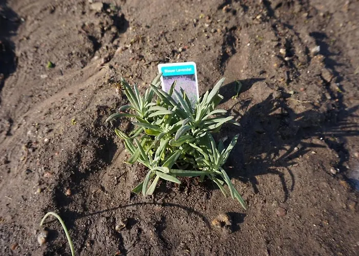 Lägenhet Haus Am Fluss